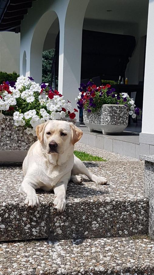 Casa Manuela Tra Bellinzona Locarno E Lugano Apartman Cadenazzo Kültér fotó